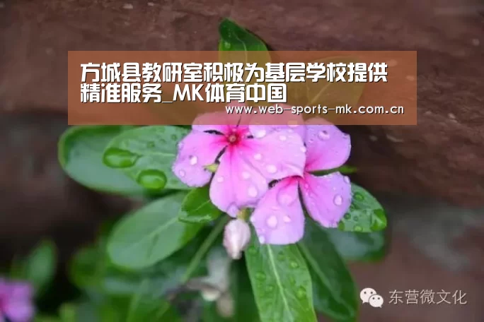 方城县教研室积极为基层学校提供精准服务_MK体育中国(图3) MK体育官网