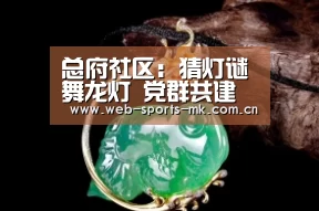 总府社区:猜灯谜舞龙灯 党群共建闹元宵:MK SPORT(图2) MK体育中国
