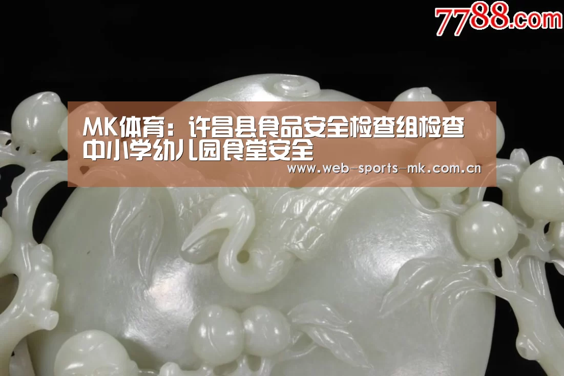 MK体育:许昌县食品安全检查组检查中小学幼儿园食堂安全(图1) MK体育
