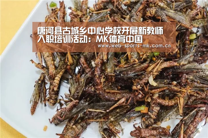 MK体育