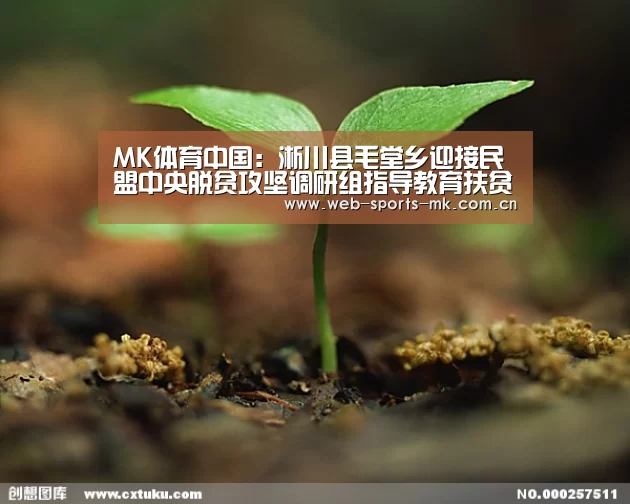 MK体育中国:淅川县毛堂乡迎接民盟中央脱贫攻坚调研组指导教育扶贫工作(图2) MK SPORT