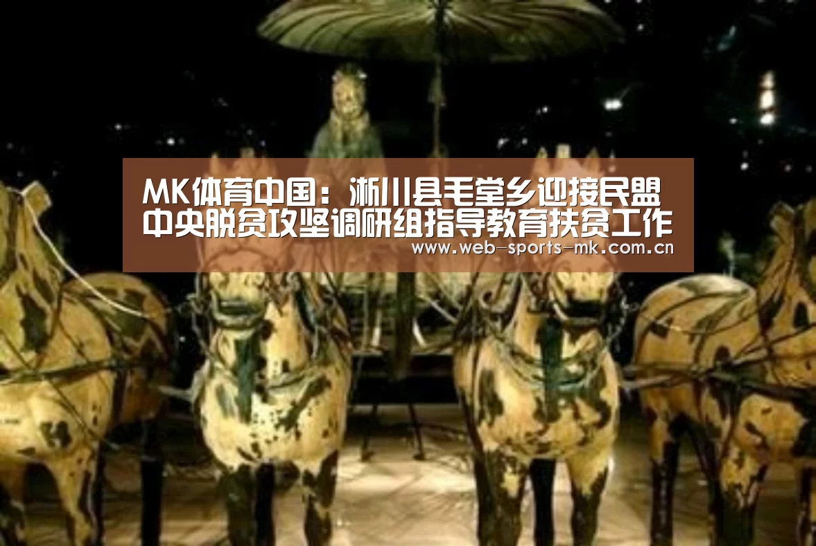 MK体育中国:淅川县毛堂乡迎接民盟中央脱贫攻坚调研组指导教育扶贫工作(图3) MK体育中国