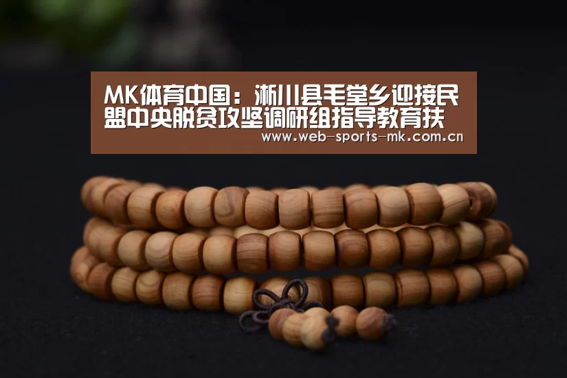MK体育中国:淅川县毛堂乡迎接民盟中央脱贫攻坚调研组指导教育扶贫工作(图4) MK SPORT